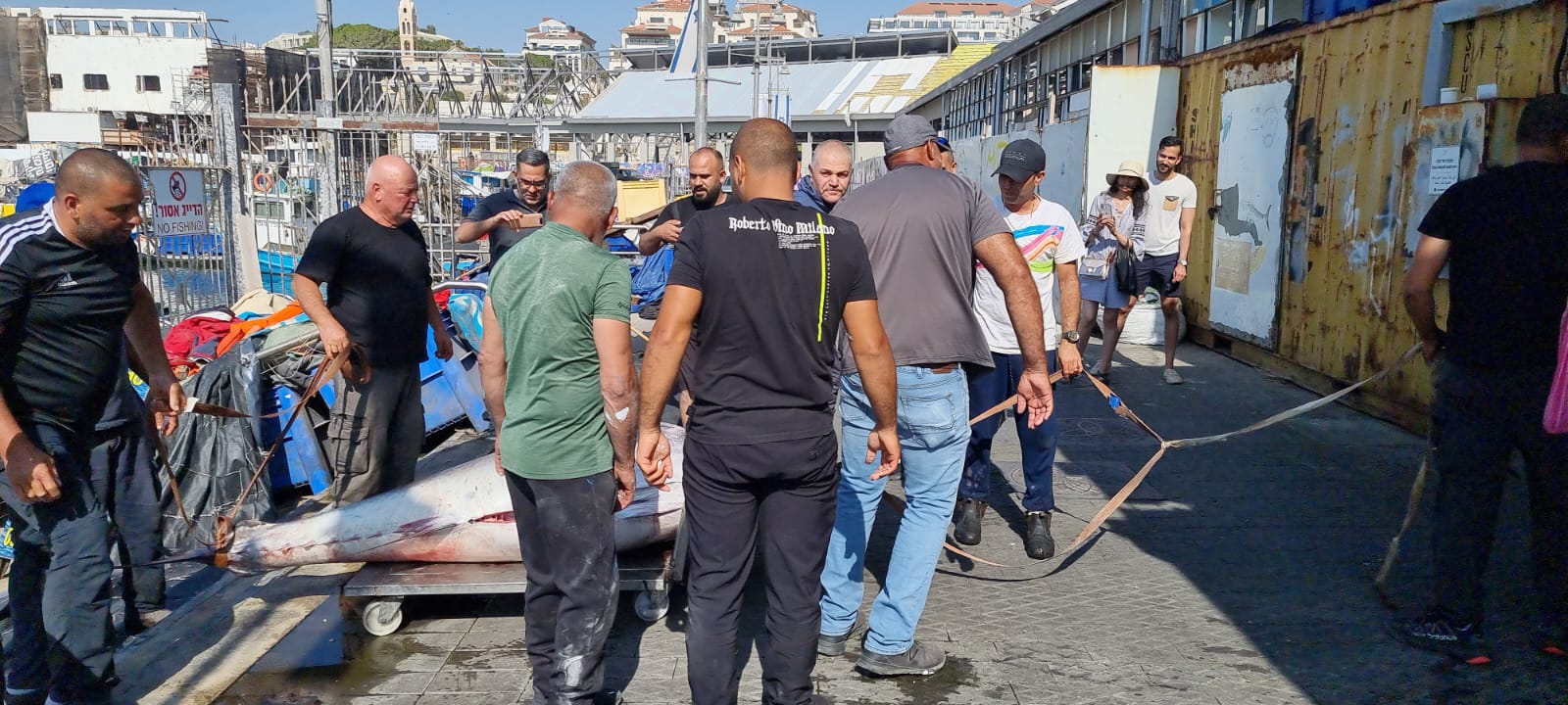 WhatsApp Image 2022-05-25 at 4.38.57 PM (1).jpeg